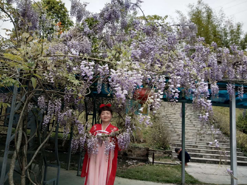 莉莉的第一张照片--政和征婚网