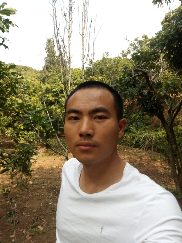 简单的第一张照片--政和征婚网