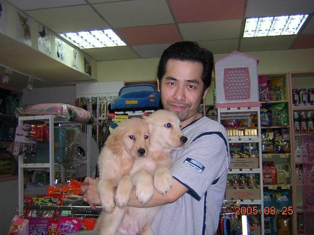 陈道明的第六张照片--政和征婚网