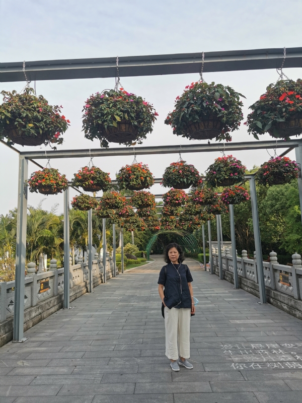 一叶知秋的第二张照片--政和征婚网