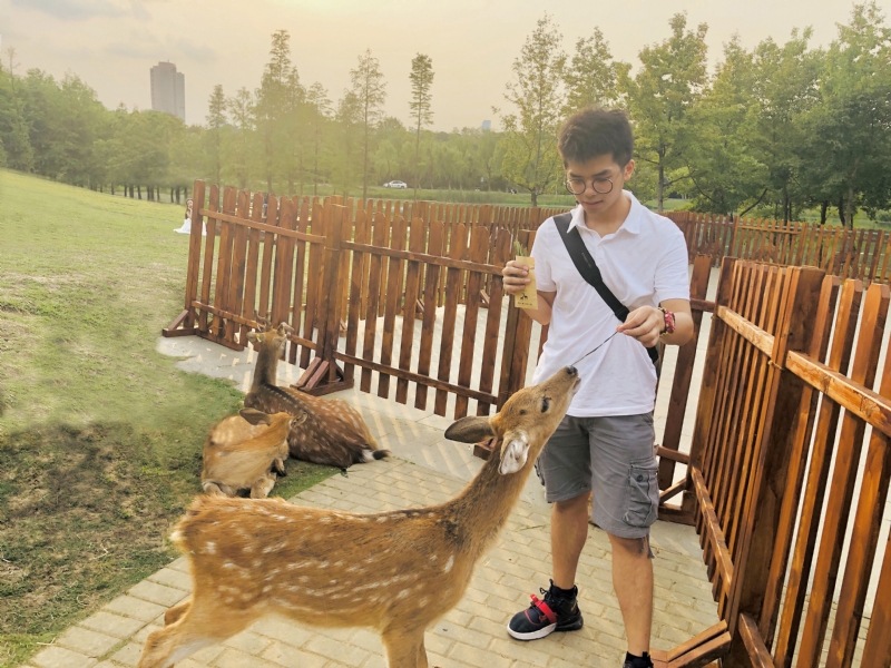 米兰的小铁匠的第一张照片--政和征婚网