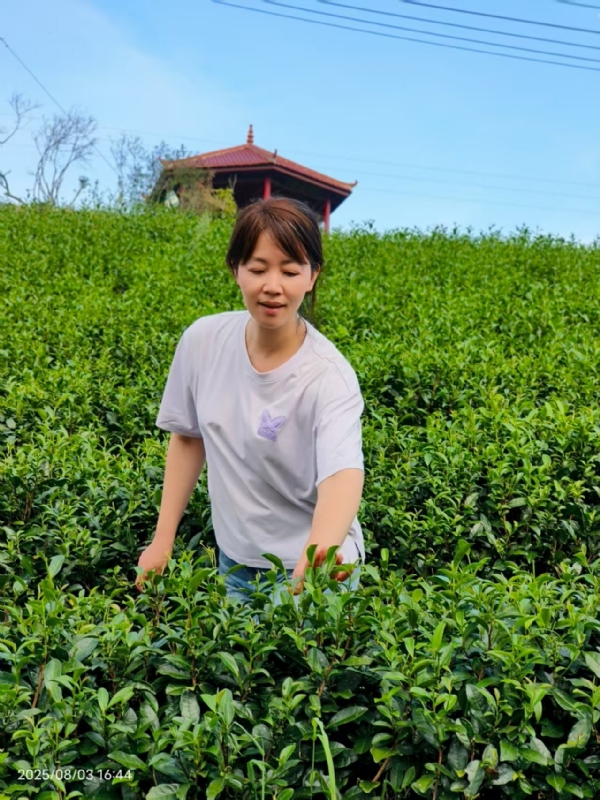 Q绮芳的第一张照片--政和征婚网